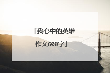 我心中的英雄作文600字
