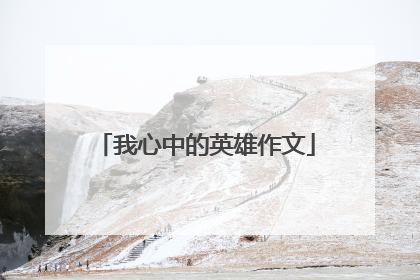 我心中的英雄作文
