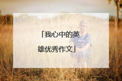我心中的英雄优秀作文