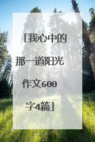 我心中的那一道阳光作文600字4篇