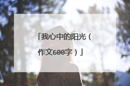 我心中的阳光(作文600字)