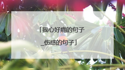 我心好痛的句子_伤感的句子