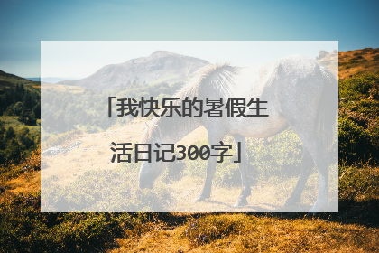 我快乐的暑假生活日记300字