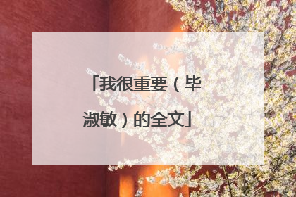 我很重要（毕淑敏）的全文
