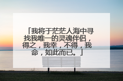 我将于茫茫人海中寻找我唯一的灵魂伴侣,得之,我幸,不得,我命,如此而已。