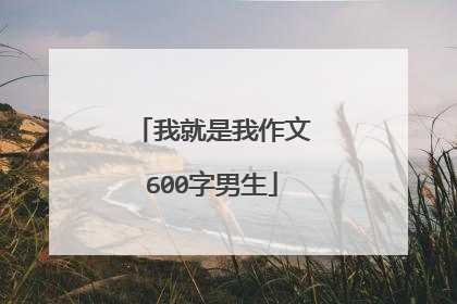 我就是我作文600字男生
