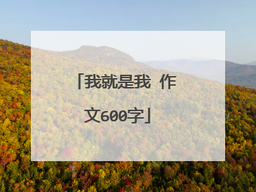我就是我 作文600字