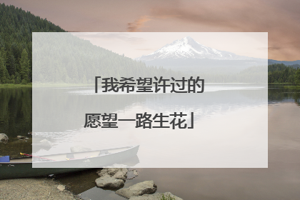 我希望许过的愿望一路生花