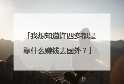 我想知道许四多都是靠什么赚钱去国外?