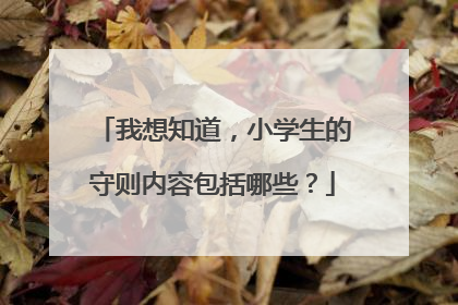 我想知道，小学生的守则内容包括哪些？