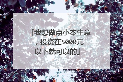 我想做点小本生意,投资在5000元以下就可以的