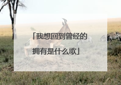 我想回到曾经的拥有是什么歌