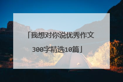 我想对你说优秀作文300字精选10篇