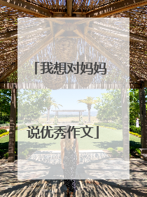 我想对妈妈说优秀作文