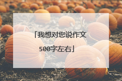 我想对您说作文500字左右
