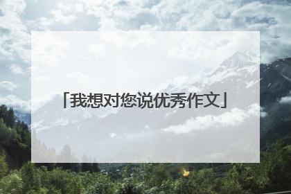 我想对您说优秀作文