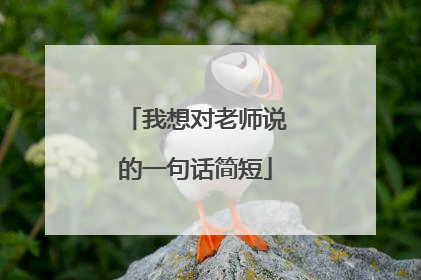我想对老师说的一句话简短