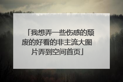 我想弄一些伤感的颓废的好看的非主流大图片弄到空间首页