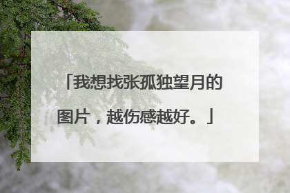 我想找张孤独望月的图片,越伤感越好。