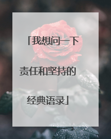 我想问一下责任和坚持的经典语录