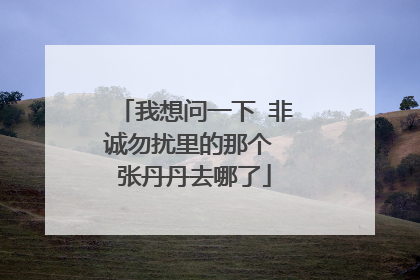 我想问一下 非诚勿扰里的那个 张丹丹去哪了