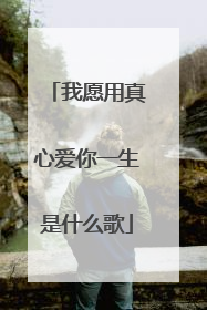 我愿用真心爱你一生是什么歌