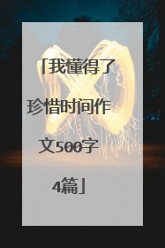 我懂得了珍惜时间作文500字4篇
