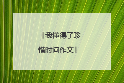 我懂得了珍惜时间作文