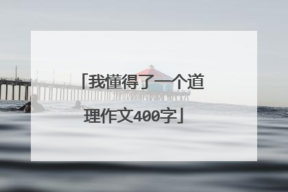 我懂得了一个道理作文400字