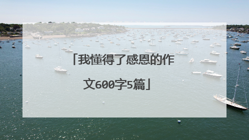 我懂得了感恩的作文600字5篇