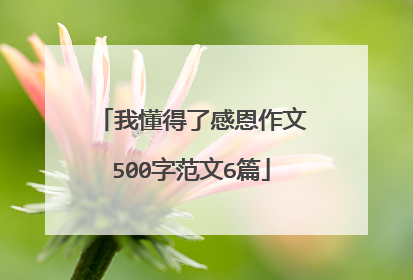我懂得了感恩作文500字范文6篇