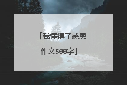 我懂得了感恩作文500字