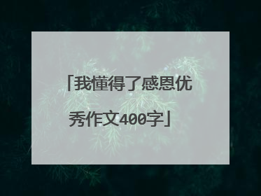 我懂得了感恩优秀作文400字