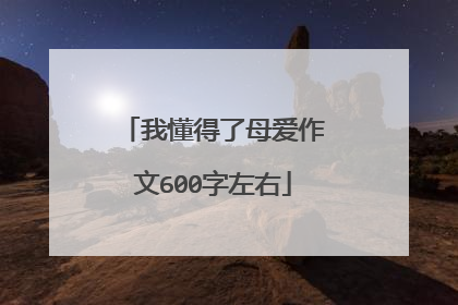 我懂得了母爱作文600字左右