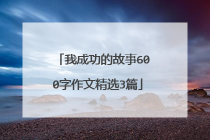 我成功的故事600字作文精选3篇