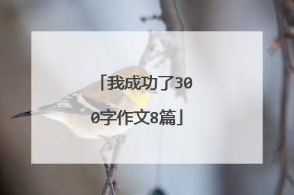 我成功了300字作文8篇