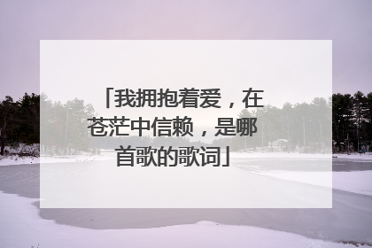我拥抱着爱，在苍茫中信赖，是哪首歌的歌词