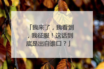 我来了,我看到,我征服!这话到底是出自谁口?