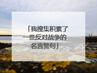 我搜集积累了一些反对战争的名言警句