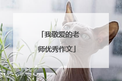 我敬爱的老师优秀作文