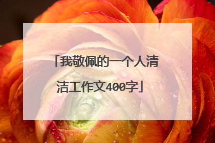 我敬佩的一个人清洁工作文400字