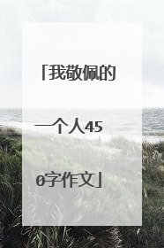 我敬佩的一个人450字作文