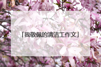 我敬佩的清洁工作文