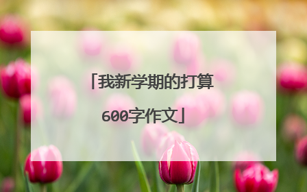 我新学期的打算600字作文