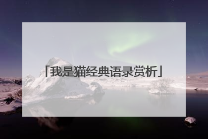 我是猫经典语录赏析