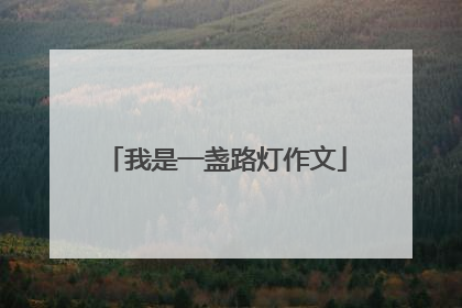 我是一盏路灯作文