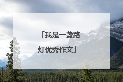我是一盏路灯优秀作文