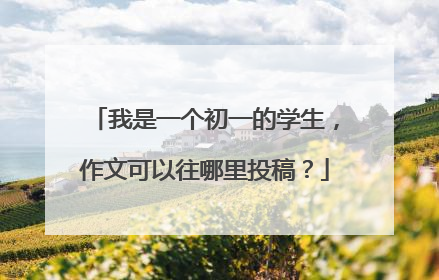 我是一个初一的学生，作文可以往哪里投稿？