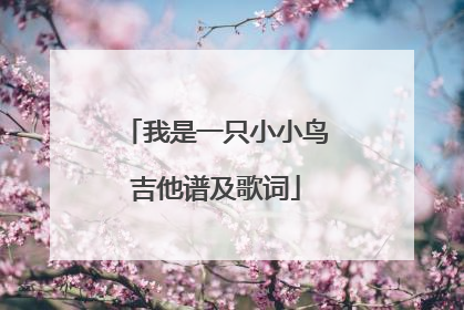 我是一只小小鸟吉他谱及歌词