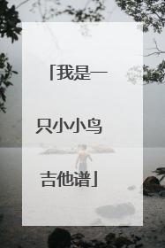 我是一只小小鸟吉他谱